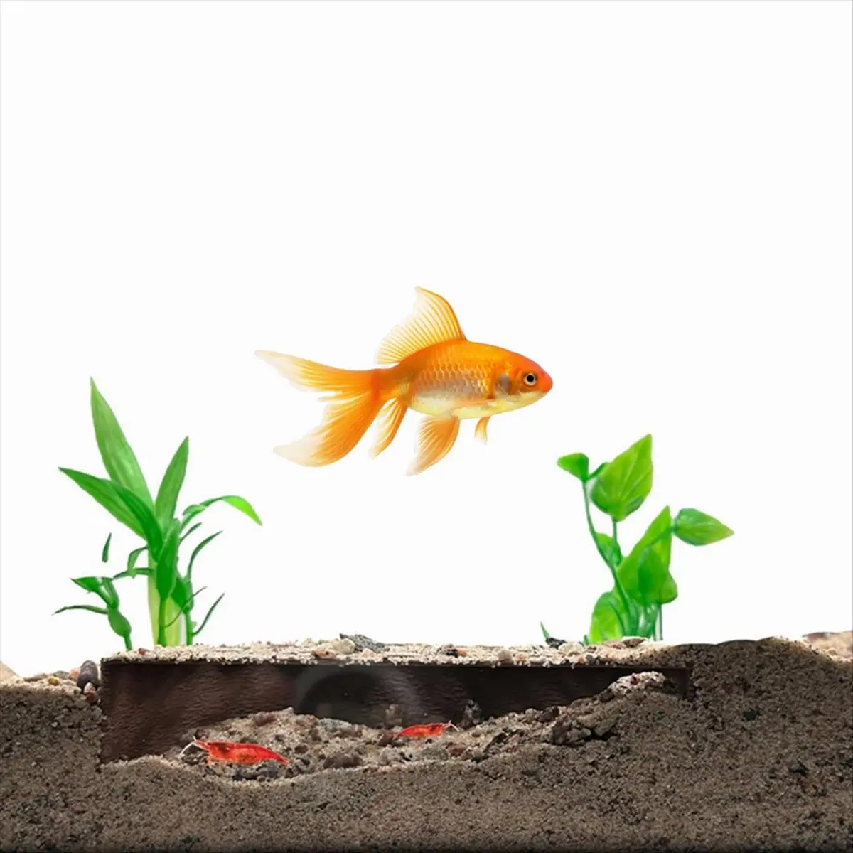 A20I Shrimp Breeding Protector - Shrimp Breeding Cave Indoor Outdoor Aquarium Cave Aquarium Tunnel Shrimp Hides Black