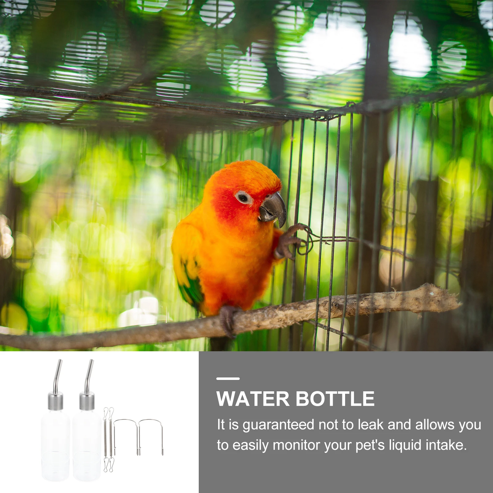 

2 PCS Rabbit Drinking Bottle Bunny Water Small Animal Dispenser Feeder Hamster Mouse Guinea Pig Food for Pigs Container