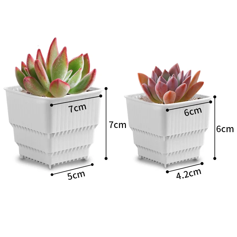 Meshpot Succulents Pot 10 Pack 20 Pack Plastic Flower Pot Cactus Planter Container Seedlings Nursery Supplies Inner Dia. 6cm/7cm