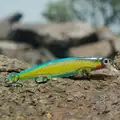 Fishlure-10