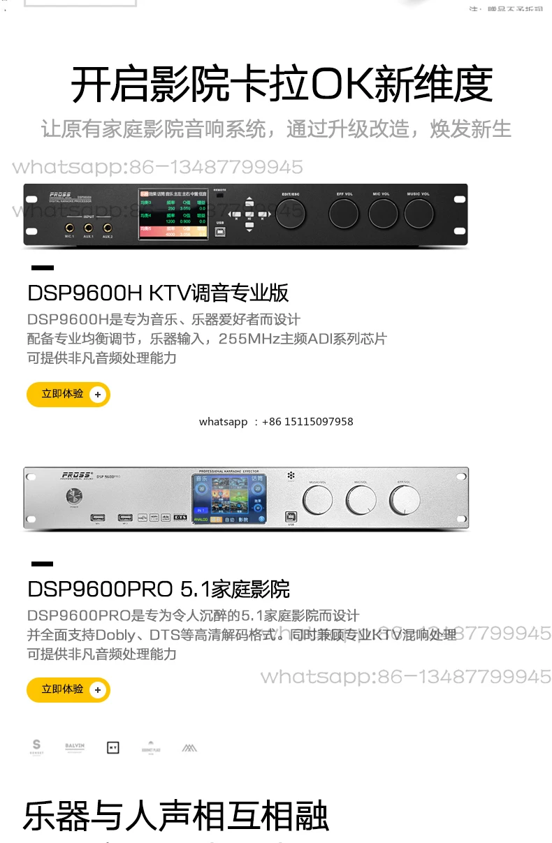 DSP9600 Home KTV Professional Pre-Effects, Reverb 5.1 Cinema Decoding Bluetooth