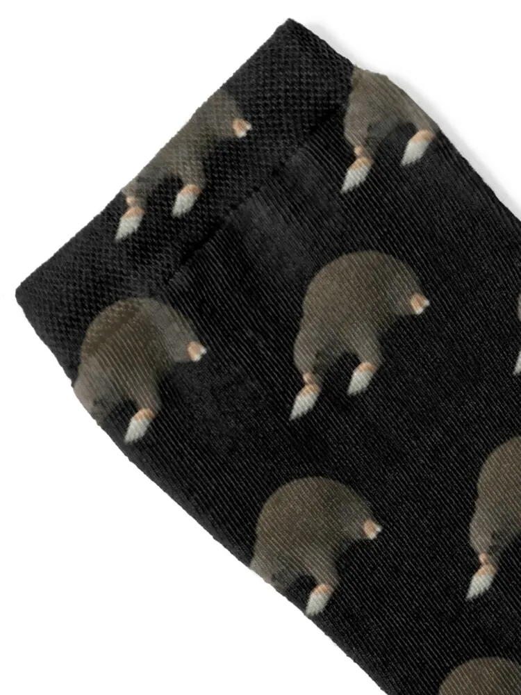 2007scape Giant Mole Socks