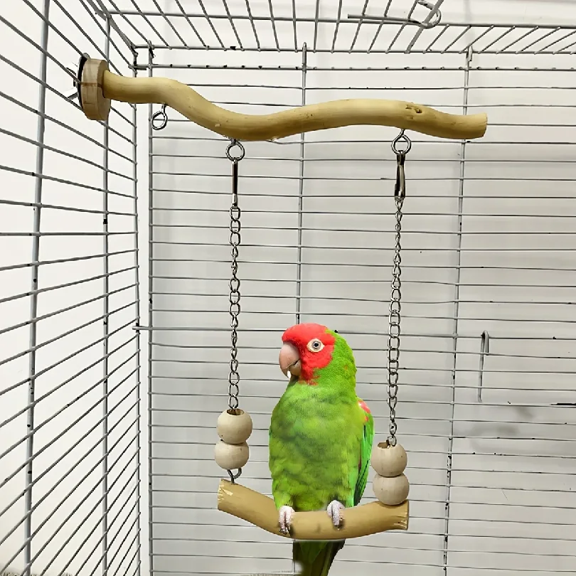 Natural Wood Par1rot Swing Perch Set Bird Cage Hanging Stand Stick Toy For Lovebird Conure Cockatiel Small Medium Parrots Bird A