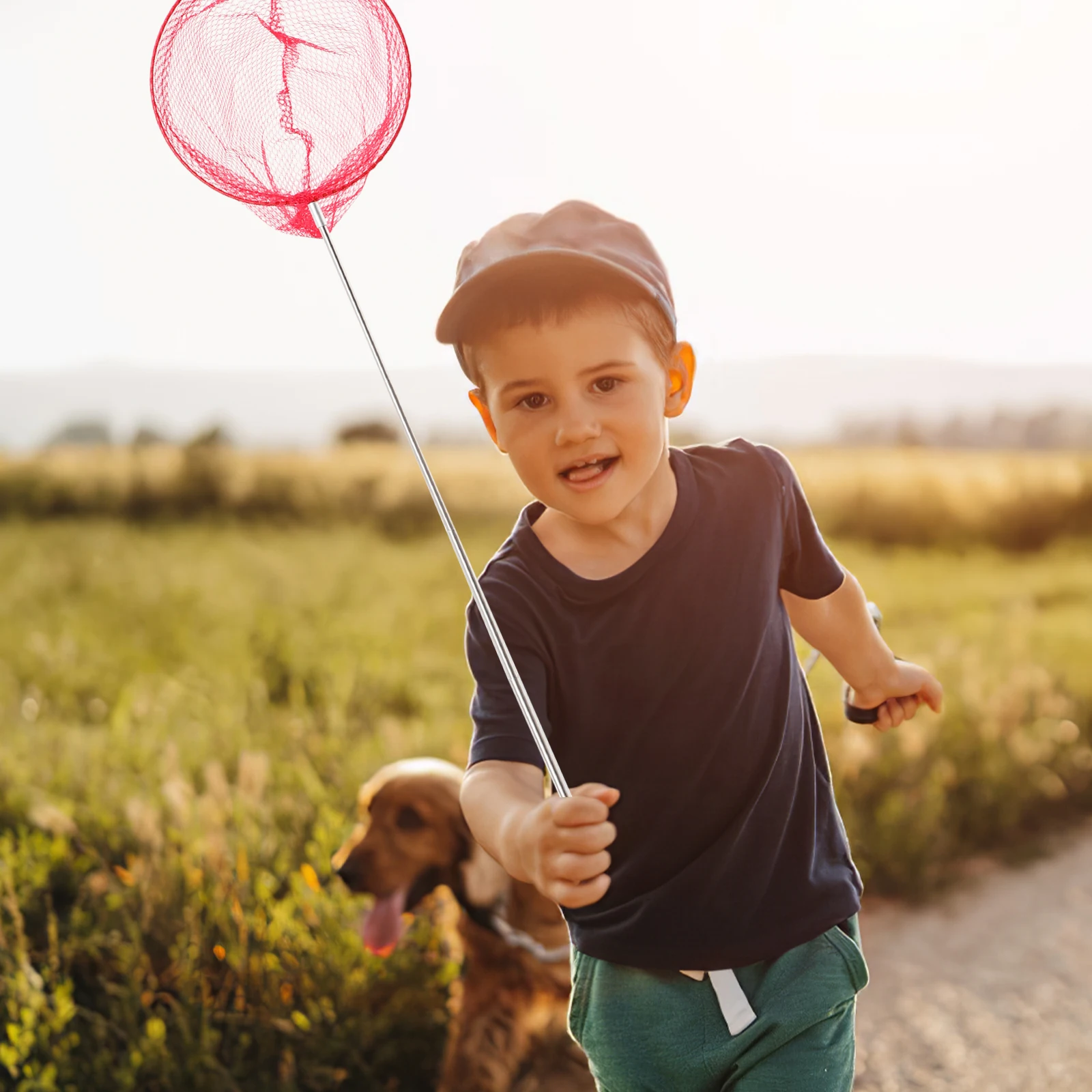 

3pcs Capture Net Insect Nets Outdoor Kids Toy Telescopic Set Stainless Steel Nylon Biological