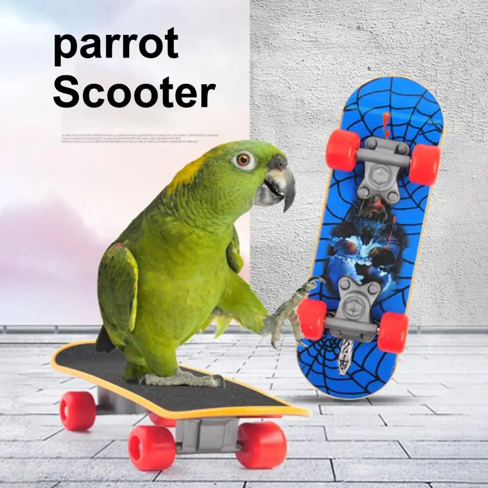 Parrot Scooter Flexible Roller Bird Toy Mini Skateboard Parrot Toy Set for Budgies Parakeets Flexible Wheel Bird for Growth