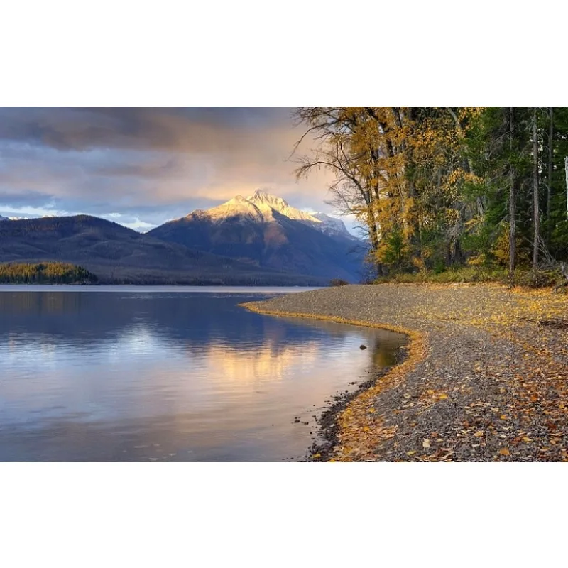 B-CUBE Niezawodny PDB XT60 - Podwójny BEC 5V/12V 4-warstwowa płytka PCB do helikopterów RC, dronów FPV, quadrocopterów, płytka rozdzielcza zasilania