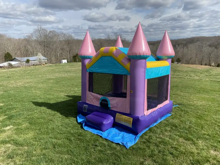 Outdoor inflatable Dream Castle dazzling bouncy castle will be perfect for your party