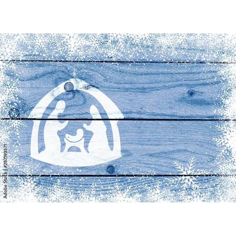 Christmas Theme Photography Background Snowflake Wood Plank Portrait Backdrops For Photo Studio Props 21121 TU-02