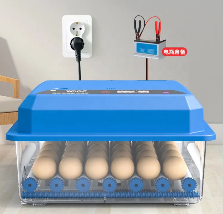 Mini dual power automatic egg turning 51 pcs incubator with low price for home use