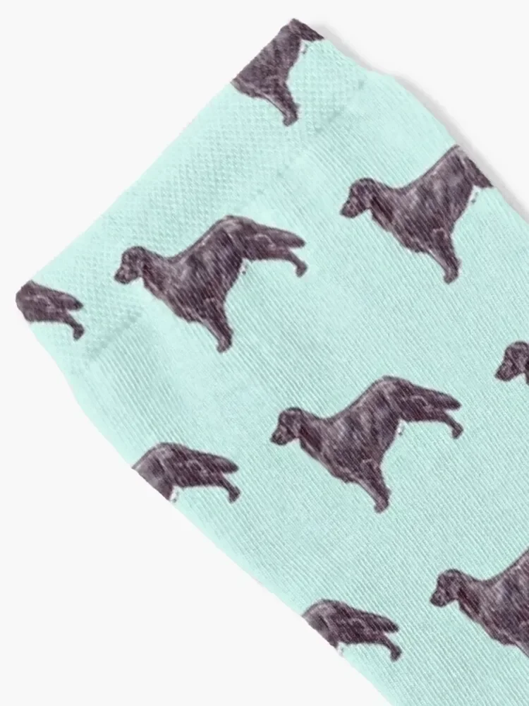 Flat Coated Retriever Breed Show Stack Stand Socks sport valentine gift ideas Women's Socks Men's