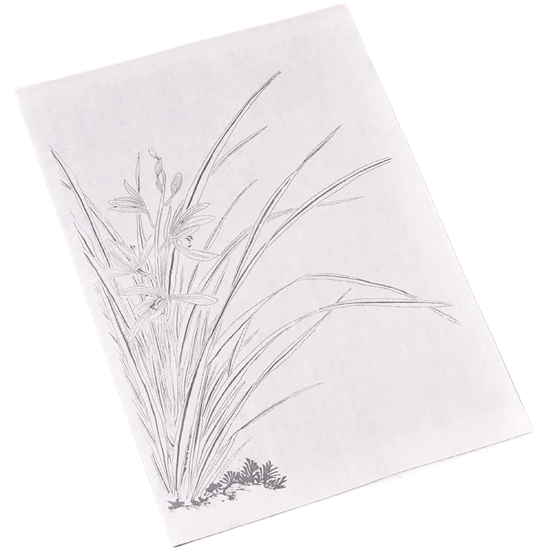 

Line Drawing Painting Line Draft Traditional Chinese Painting Xuan Paper Flower Birds Orchids Lotus Painting Manuscript Beginner