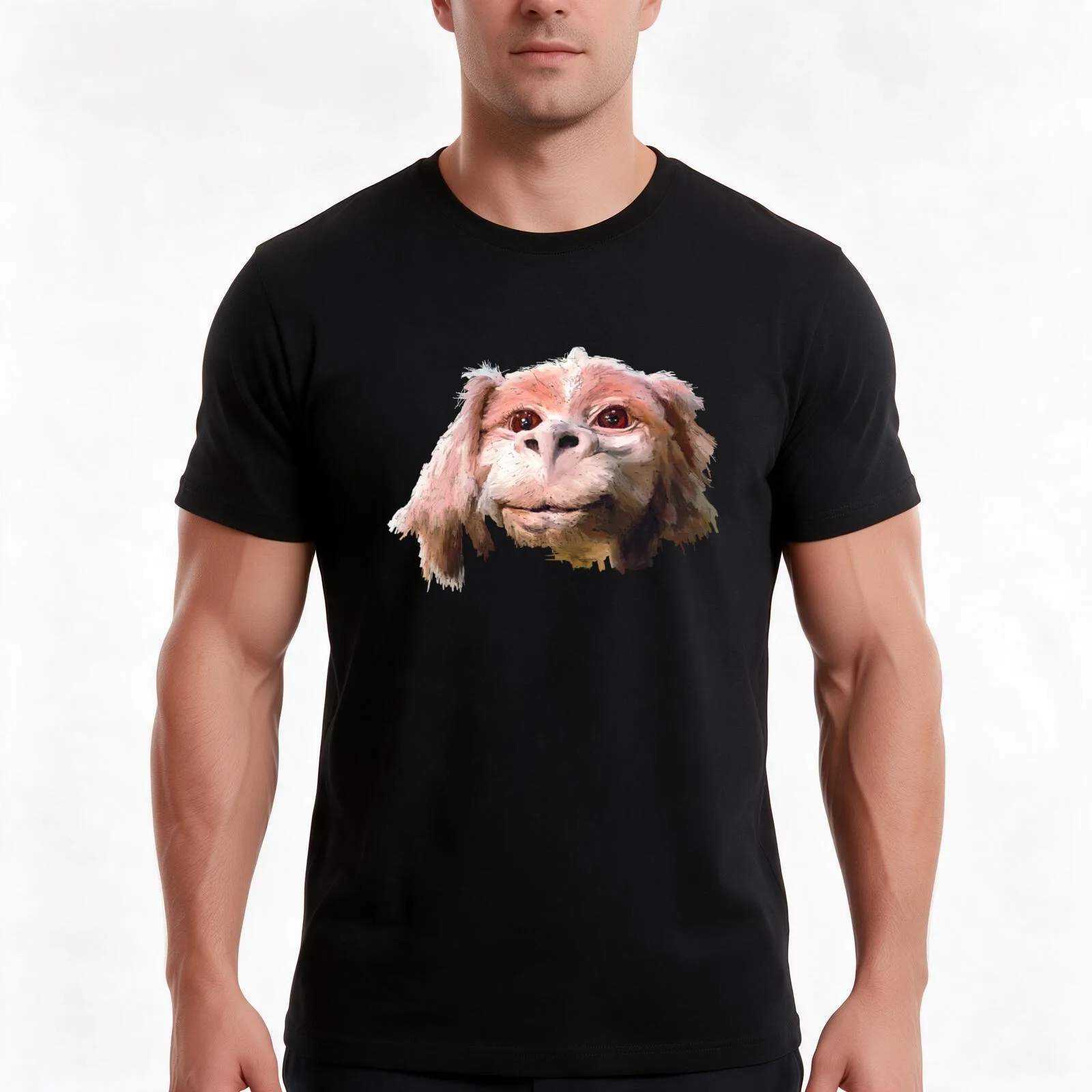 Falkor a Luck Dragon T-Shirt, Summer Casual Cotton Tee, Oversized Streetwear Tops, Vintage Graphic Print, Loose Fit Short Sleeve