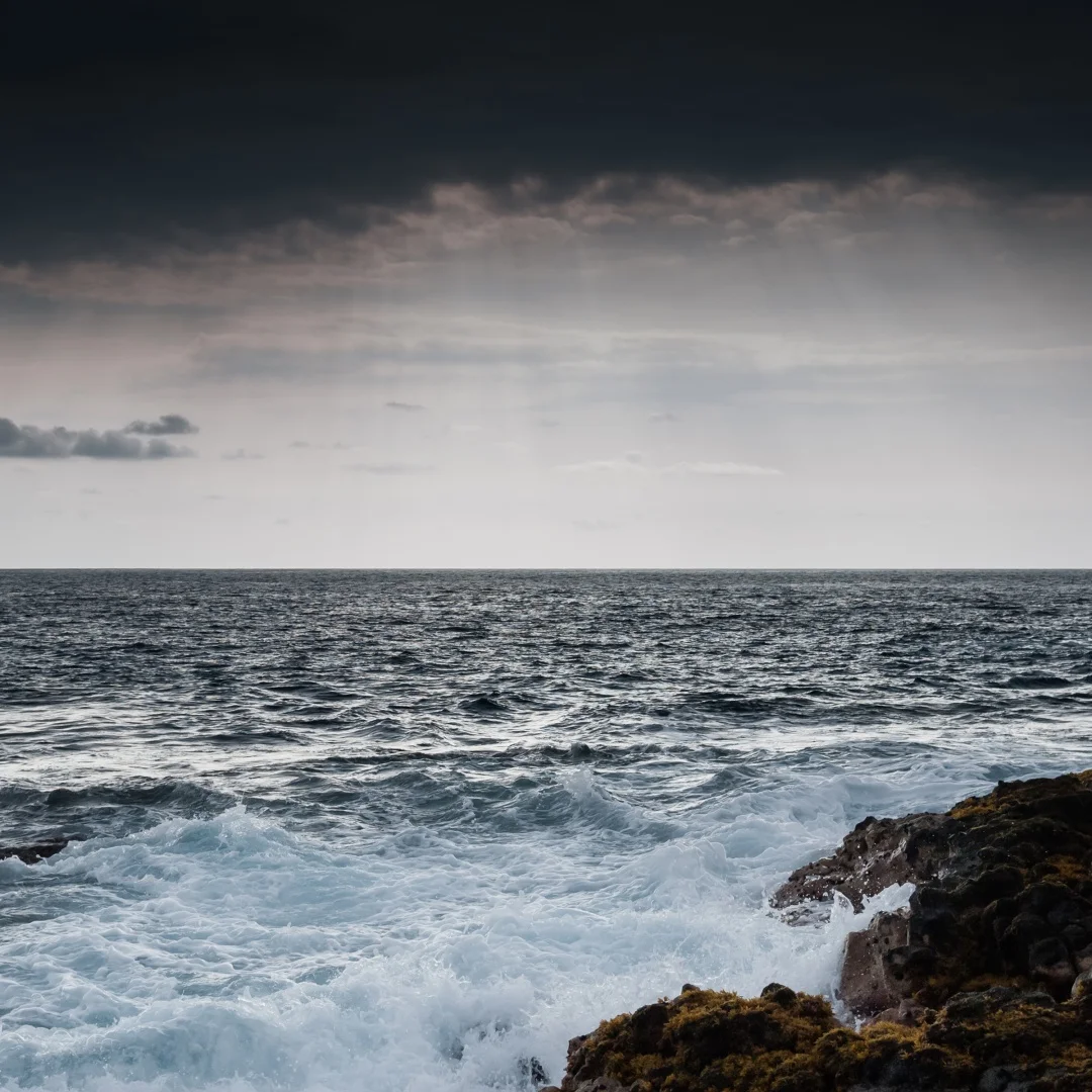 

For Audi A3 2010-2020 Digital LCD Dashboard Virtual Cockpit Cluster Speedometer Instrument Dashboard Panel Linux