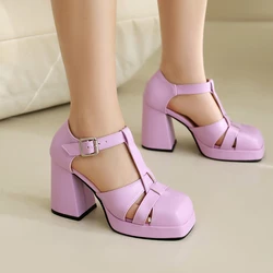 2024 T-Strap Metal Square Buckle Narrow Band Hollowed Out Women's Sandals Platform Ultra-High Thick Heel Sandals