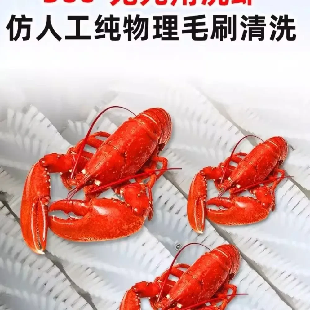 

Best-s Fully Automatic Commercial Crayfish Snail Stall Seafood Self-service Physical Imitation Artificial Brush Cleaning Machine