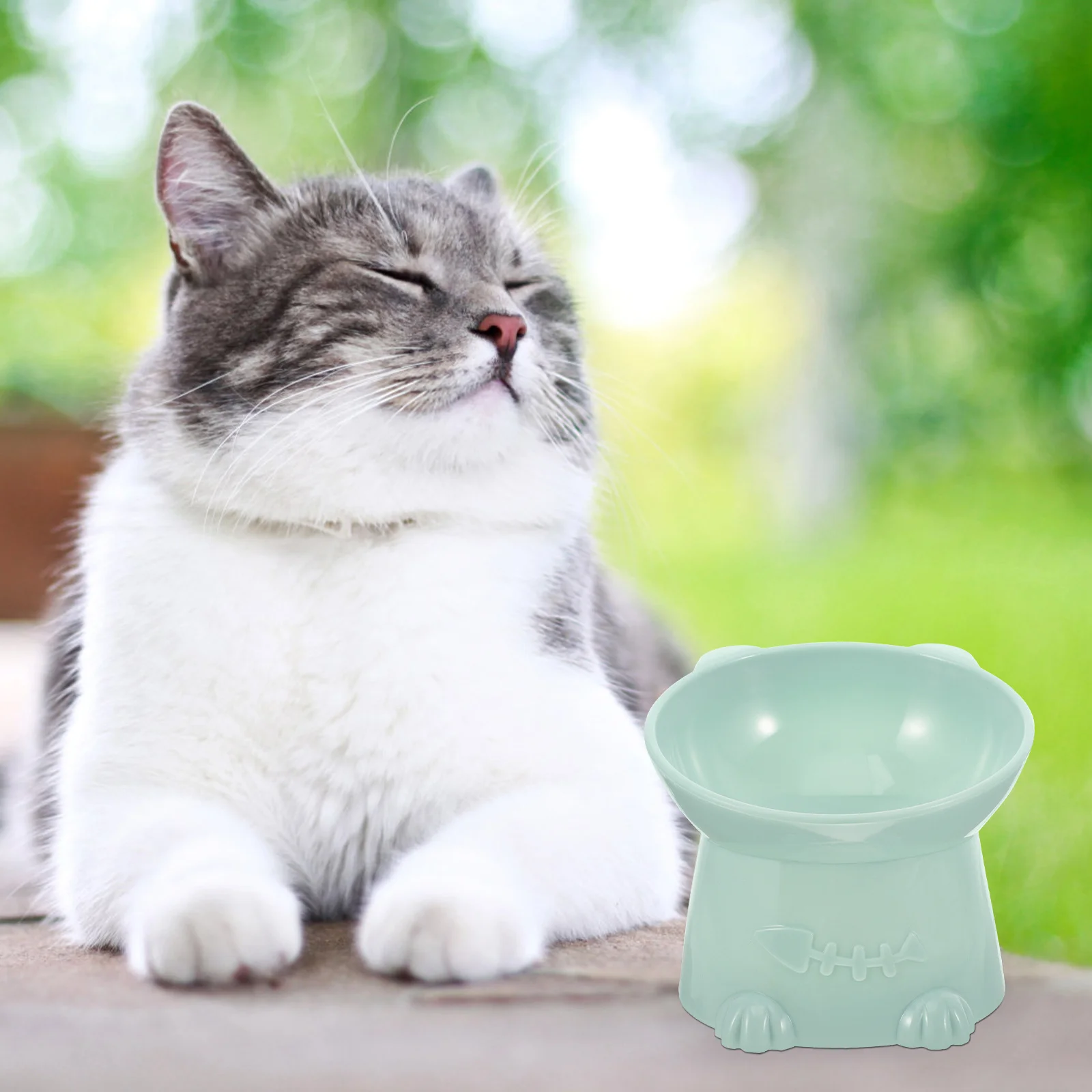 

Anti-Black Chin Cat Elevated Non-Slip Pet Feeding Bowl Shallow Wide Design For Indoor Cats Raised Pet Food Bowl