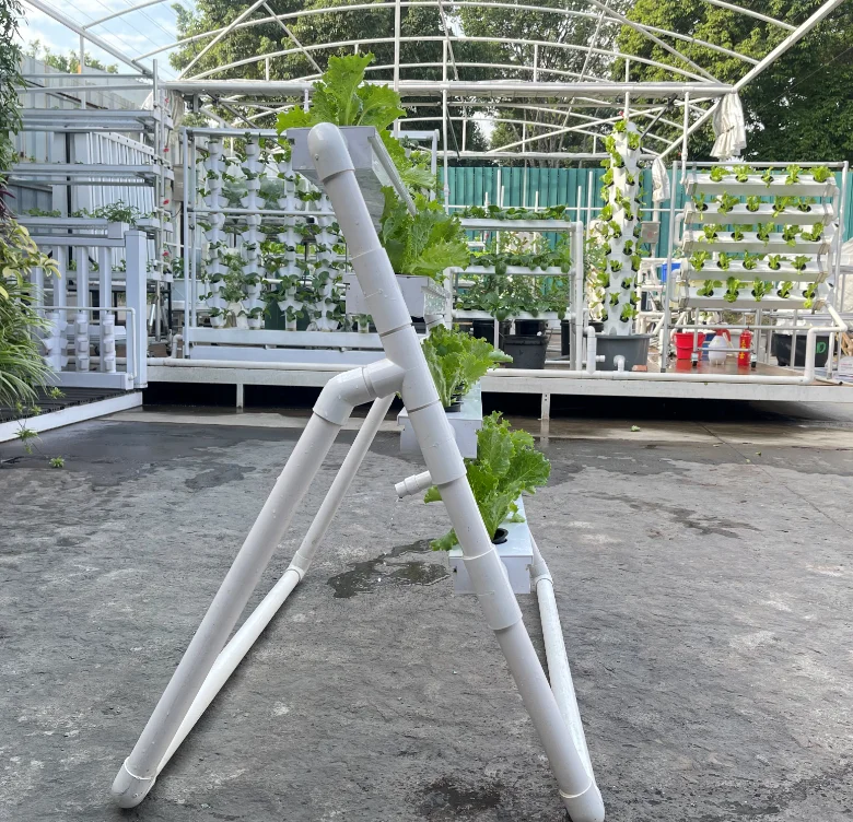 نظام زراعة مائية بـ 36 فتحة و4 - مراجعة Hydroponic Growing System 36 Site وسعره