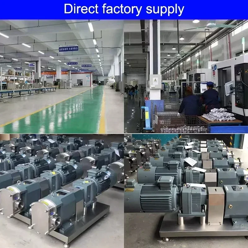 مضخة دوارة جديدة من الفولاذ المقاوم للصدأ 316 لترًا للطعام الصحي القياسي من الفولاذ المقاوم للصدأ مضخة دوارة مزدوجة الفص