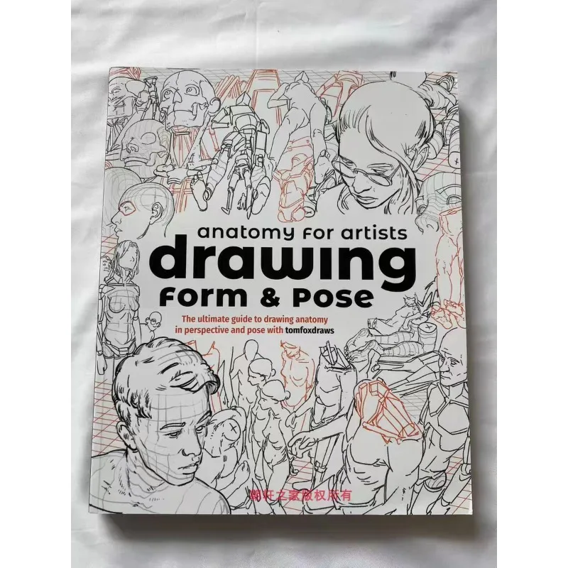 Anatomy for Artists Drawing Form Pose English Illustration Original Artwork Artbook Drawing Human Figure Tutorial Structure