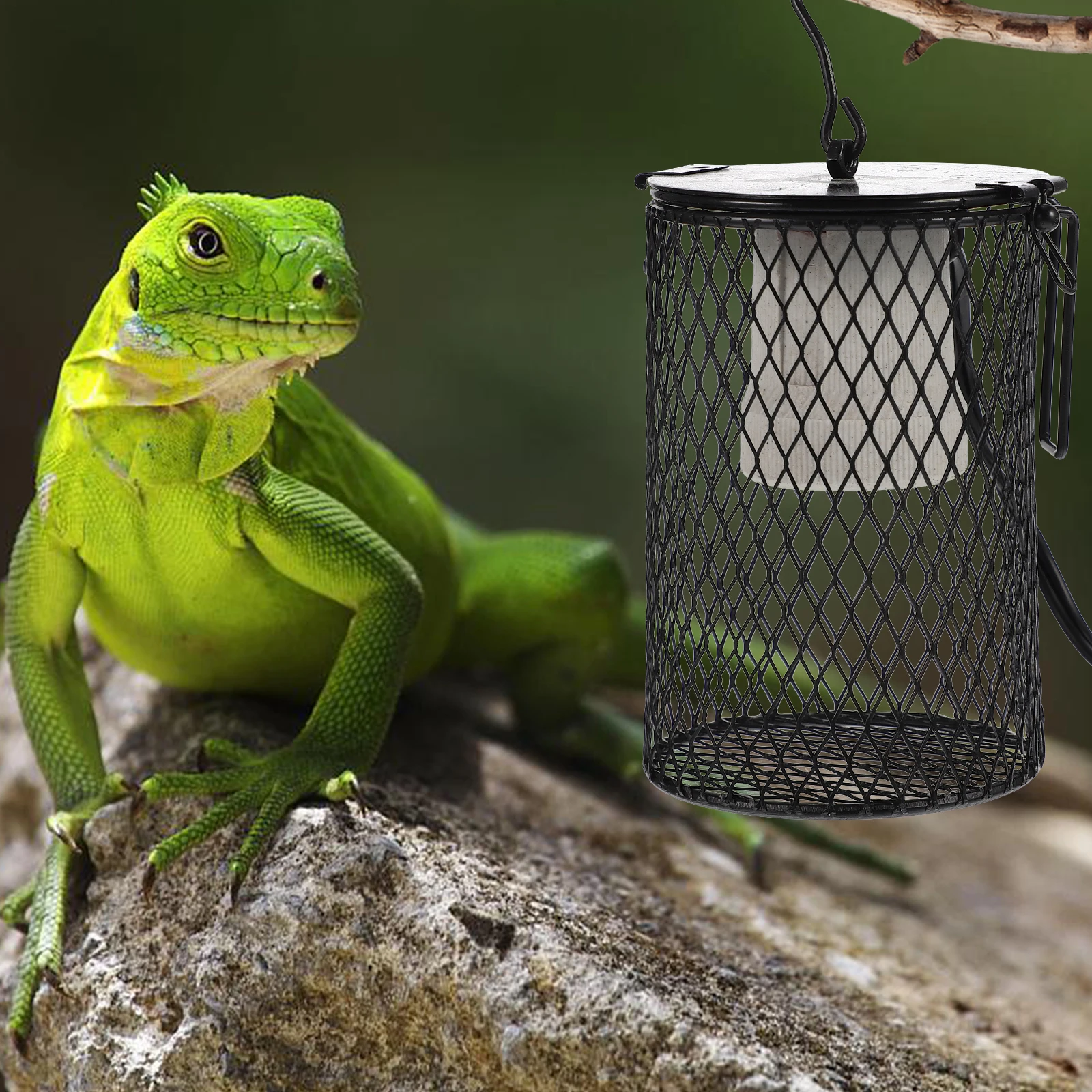 

Heating Lamp Reptile Light Dome Shade Guard Metal Cover Habitat Bulb Lampshade Protector Tank Accessory Efficient Heat
