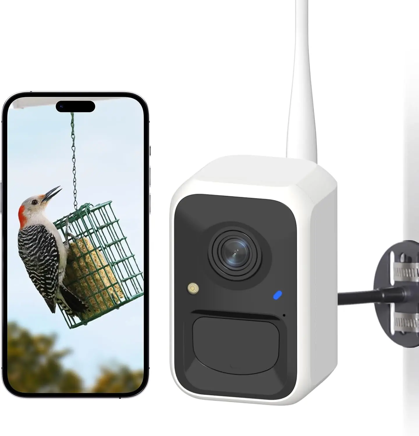 

Smart Bird Feeder Camera with Adjustable Brackets, Auto Video Capture, Instant Notifications, AI Identifies 6000+ Species