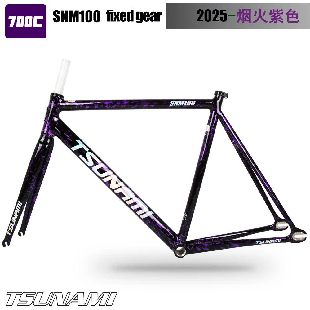 2025 NEW TSUNAMI SNM100 Bicycle Frame Fixed Gear Carrier Kit