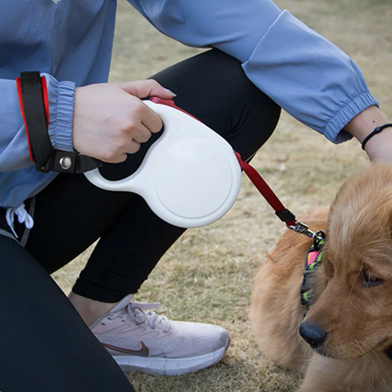 Correa ajustable para perros, pulsera de seguridad, anillo retráctil, andador, suministros para mascotas