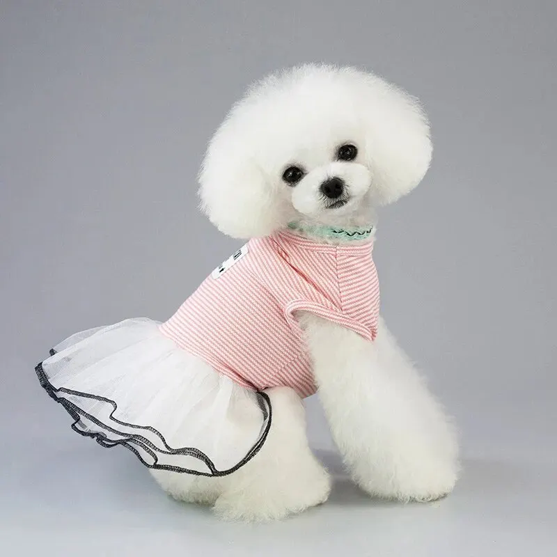 Pet Clothes Cotton Material Dog Clothes Teddy Dog Pet Clothes Summer Dress Korean Style Striped Skirt