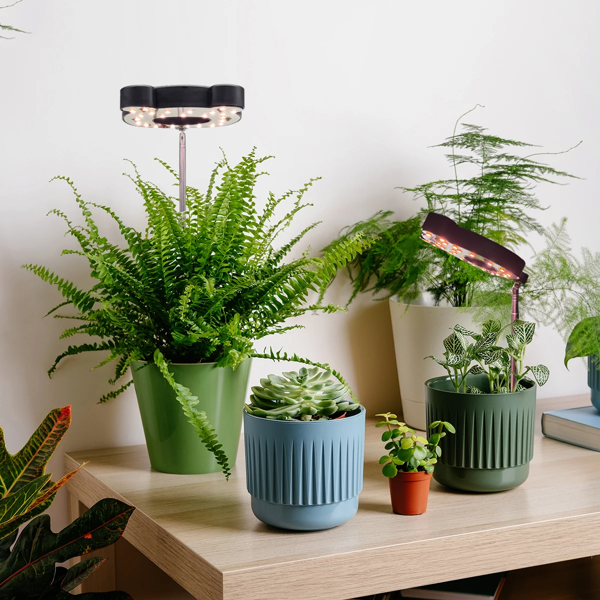 أضواء نمو النباتات ذات الطيف الكامل LED من Bear، أضواء نباتية صغيرة داخلية، أضواء نباتية، سطوع توقيت USB، تعديل الارتفاع #6