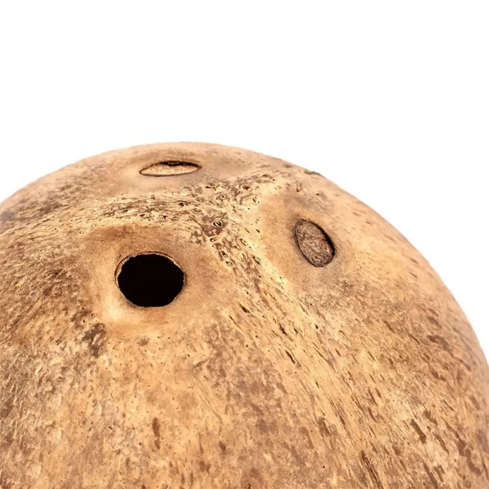 Casa para Hámster de Cáscara de Coco Resistente a Arañazos, Refugio para Animales Pequeños Resistente a Mordeduras, Nido para Cobayas, Estructura Estable, Nido para Hámster