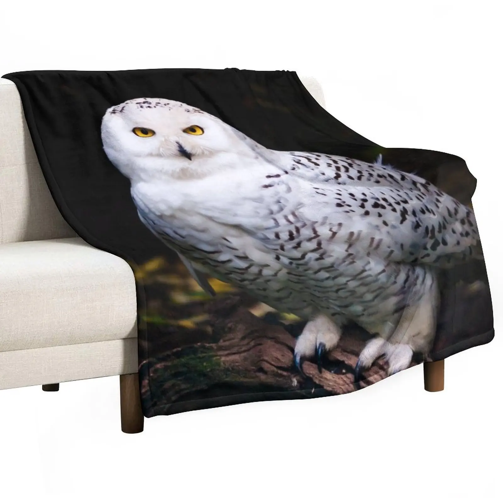 

Majestic winter snowy owl Throw Blanket Blankets For Baby Decorative Blankets Single Blanket