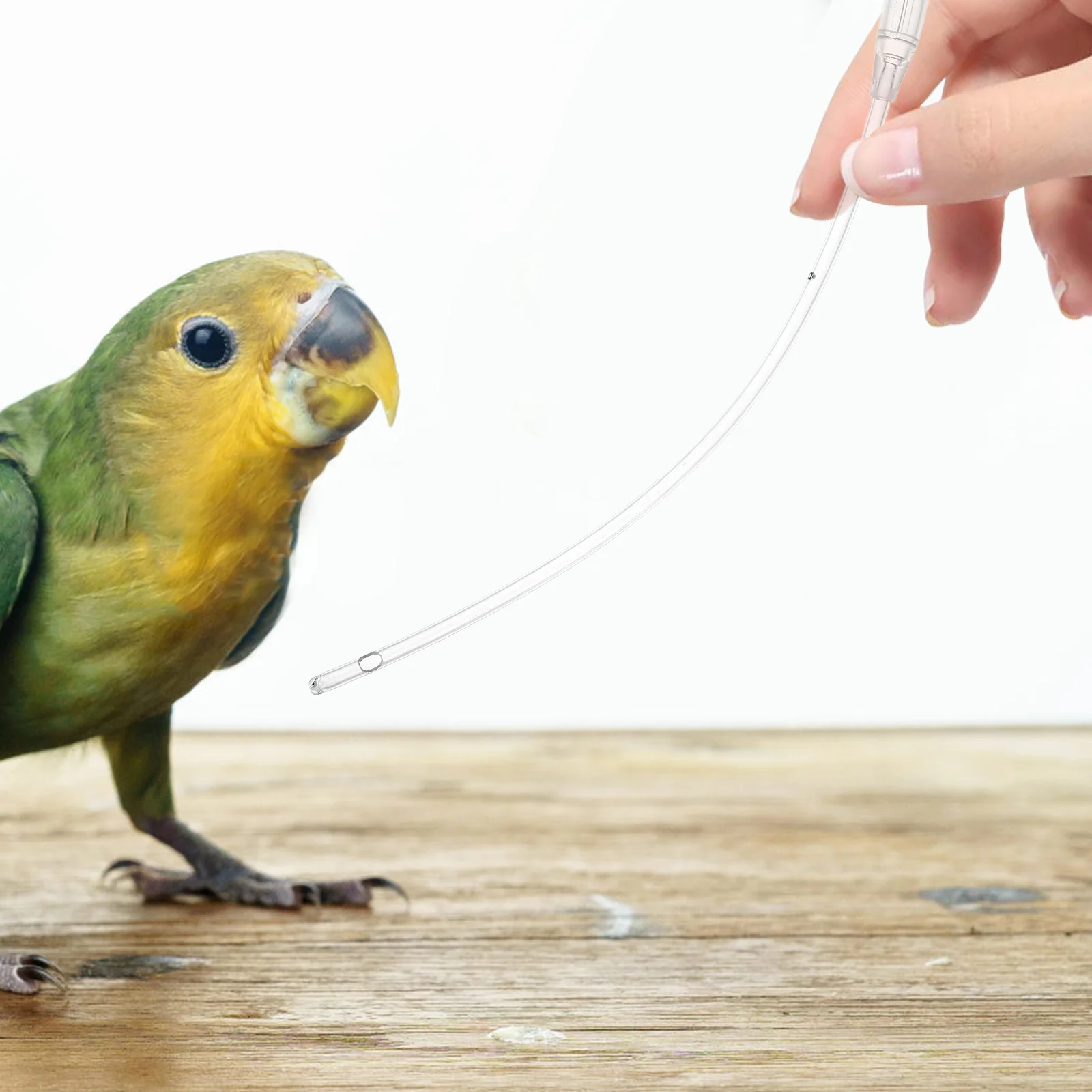 Baby Bird Feeding Hose Birds Device Plastic Accessory Young Tool Parrot Supply Fittings Rabbit Accessories