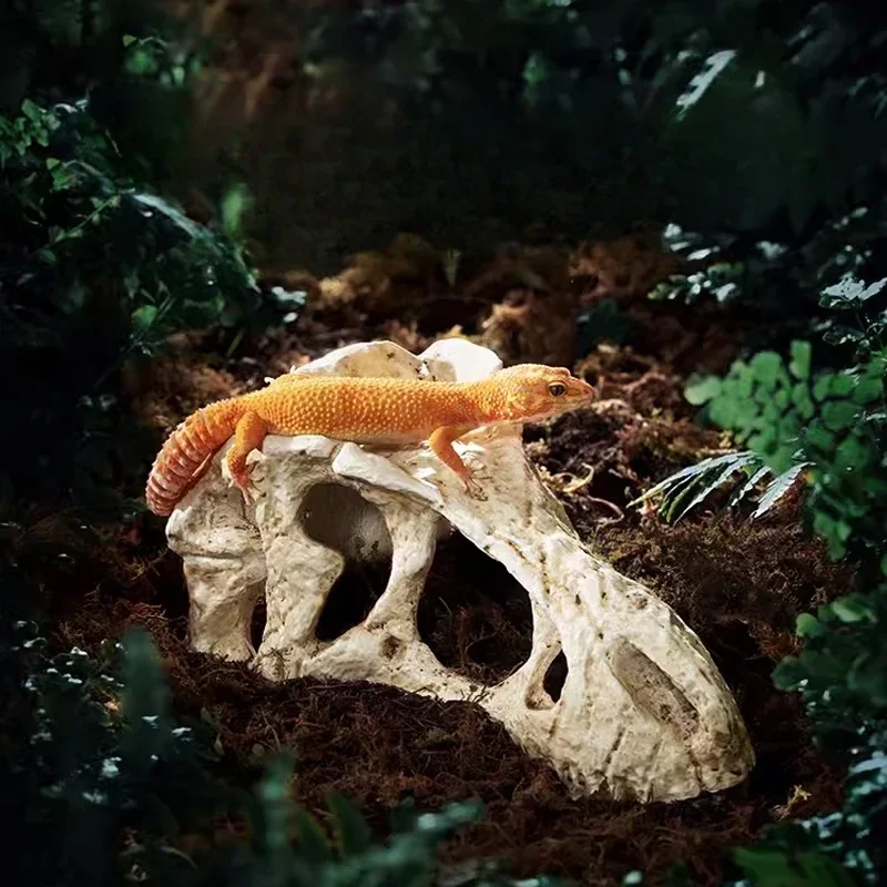 

Dinosaur Skull Reptile Pet Hideout Snake Hideout Lizard Basking Platform Reptile Pet Terrarium Aquascape