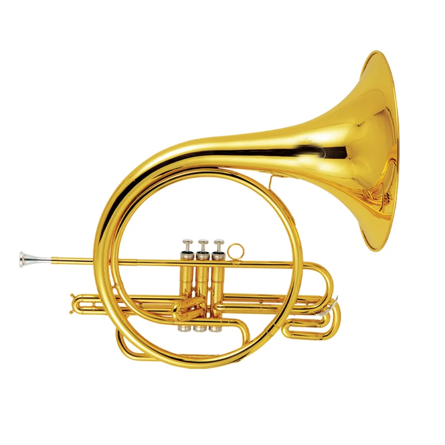 

Hooqu FH-730L Piston French Horn Professional Bb Brass Instrument