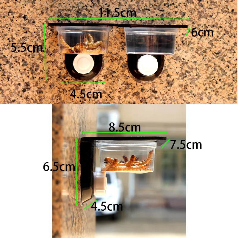 Thumbnail 2 - #16 Compare Reptile Water Bowls Before You Buy