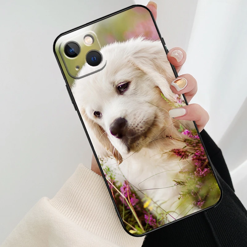 Golden Retriever Dog Phone Case For iPhone 11 12 13 14 15 16 Pro XS Max Mini Cover For iPhone X XR Plus Back Case - AliExpress 202192403 Golden Retriever Dog Phone Case For iPhone 11 12 13 14 15 16 Pro XS Max Mini Cover For iPhone X XR Plus Back Case - AliExpress 202192403