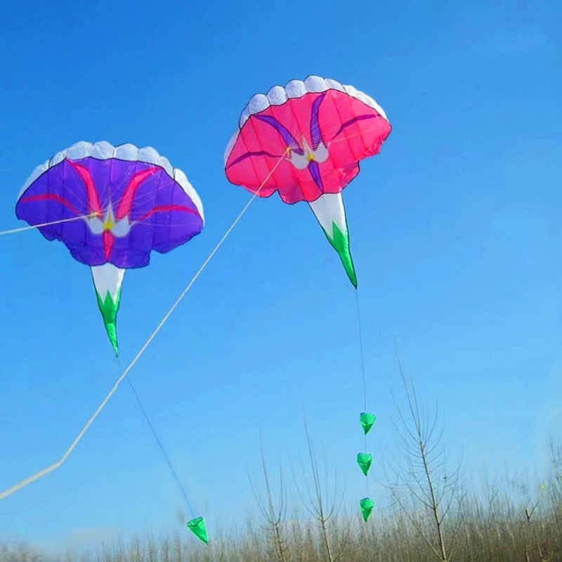 Cerf Volant Souple et Gonflable pour Enfant et Adulte, Jouet de Cerf-Volant, Ensemble Complet de Kite-Surf, Gloire du Matin, Livraison Gratuite