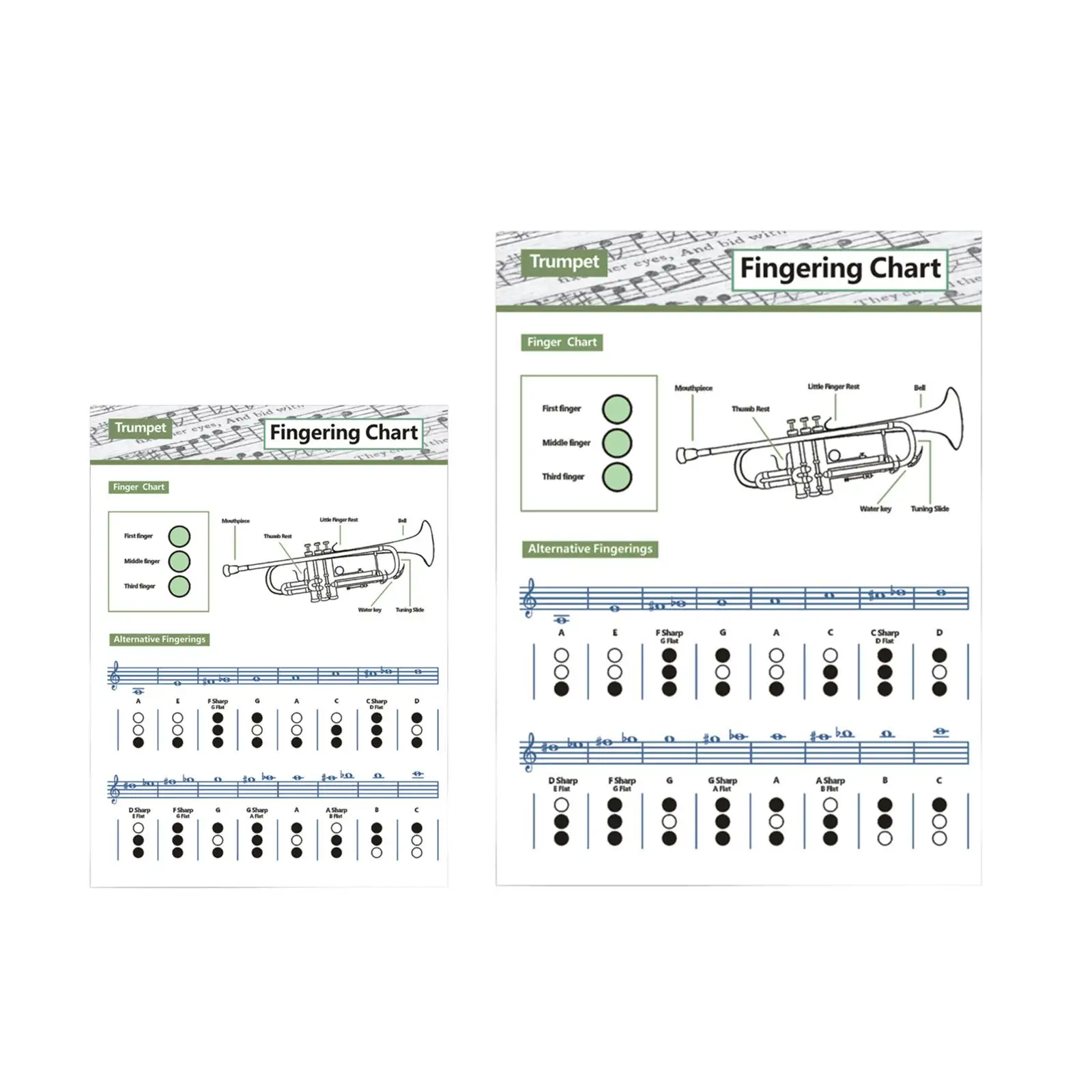 

Compact Trumpet Basic Fingering Chart for Beginners