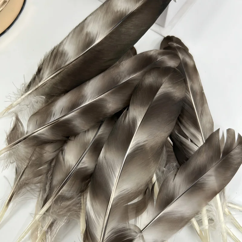 

100Pcs 4-8" 10-20cm Natural Wild Chicken Quill Feathers,DIY Jewelry Accessories,Dreamcatcher Materials,Handicrafts,Decorations