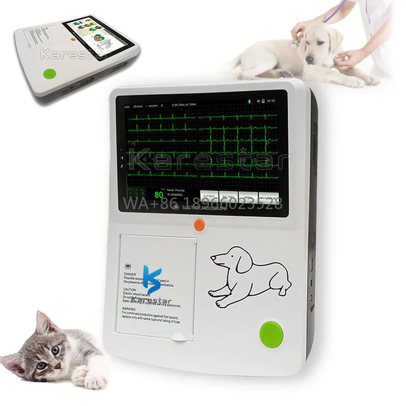 Electrocardiógrafo Portátil de 12 Derivaciones para Hospital Veterinario