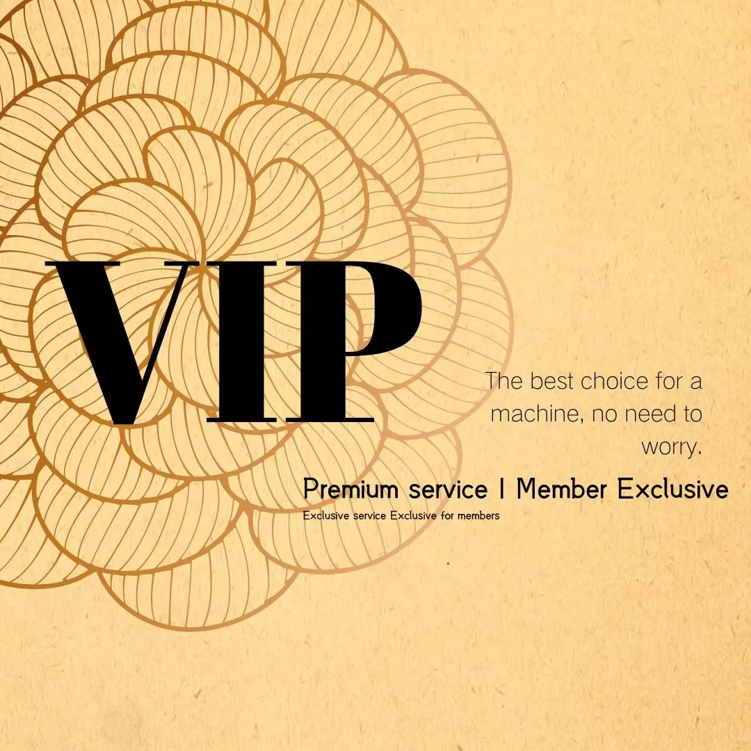 IP Fast Customer Express Freight Payment Customization VIP 01