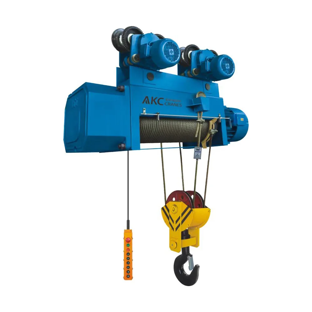 

High Rise Building Materials Hoist Crane Equipment Electrical Wire Rope Hoist 1000kg