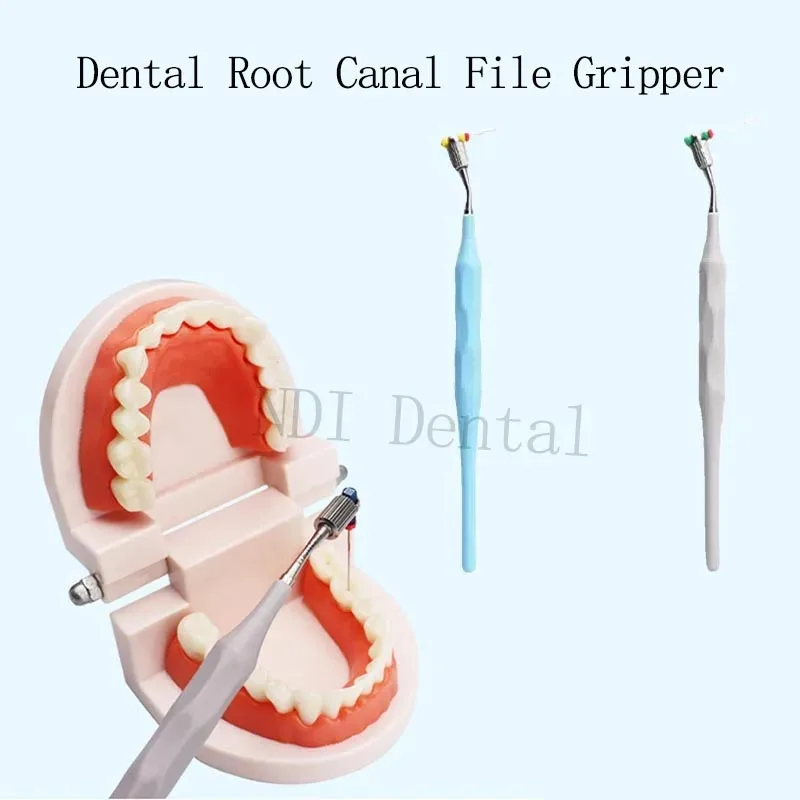 2Pcs Dental Root Ca…