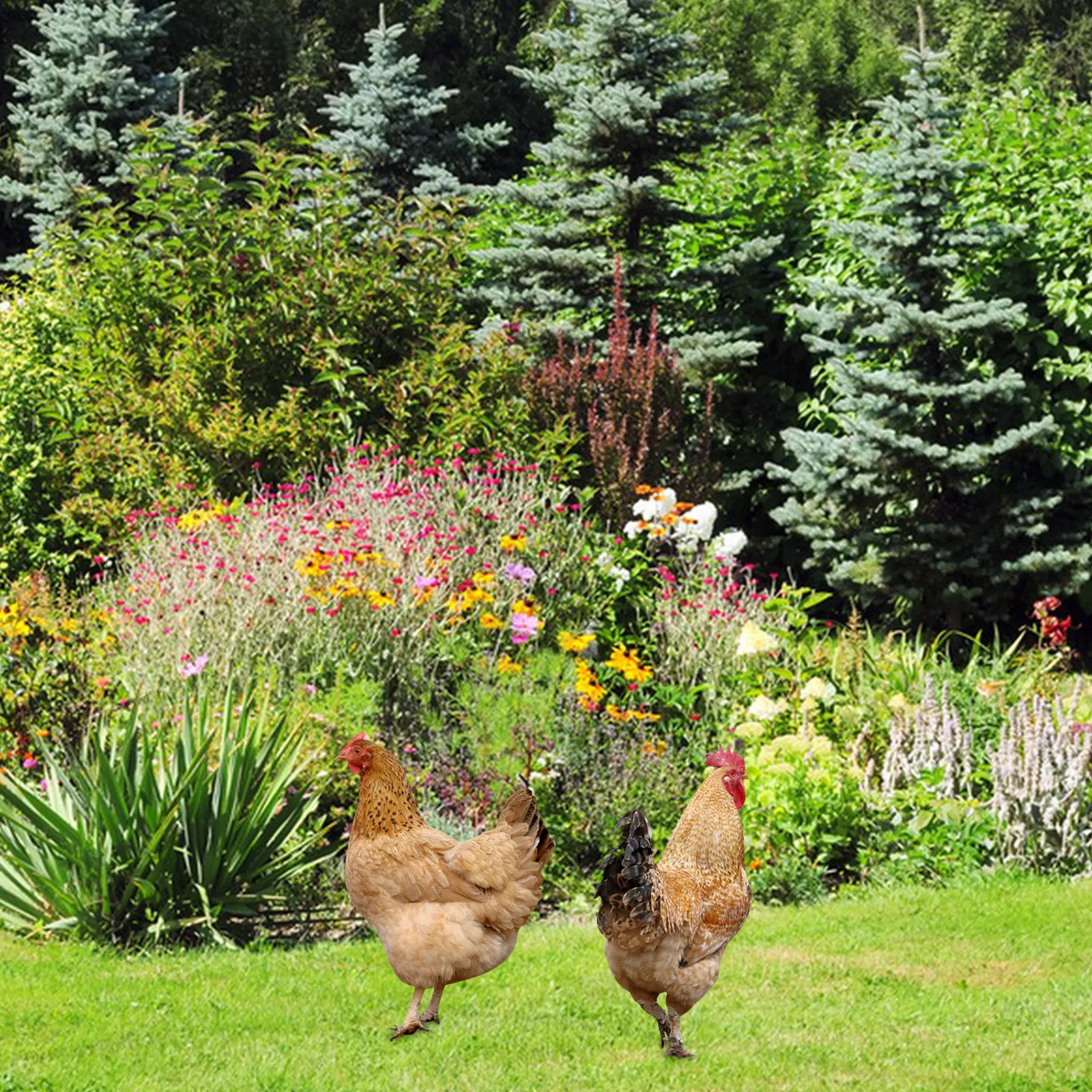 2Pcs Acrylic Chicken Garden Stake Decor Realistic Double-Sided Lawn Ornament Yard Decoration Outdoor Courtyard Stake Garden