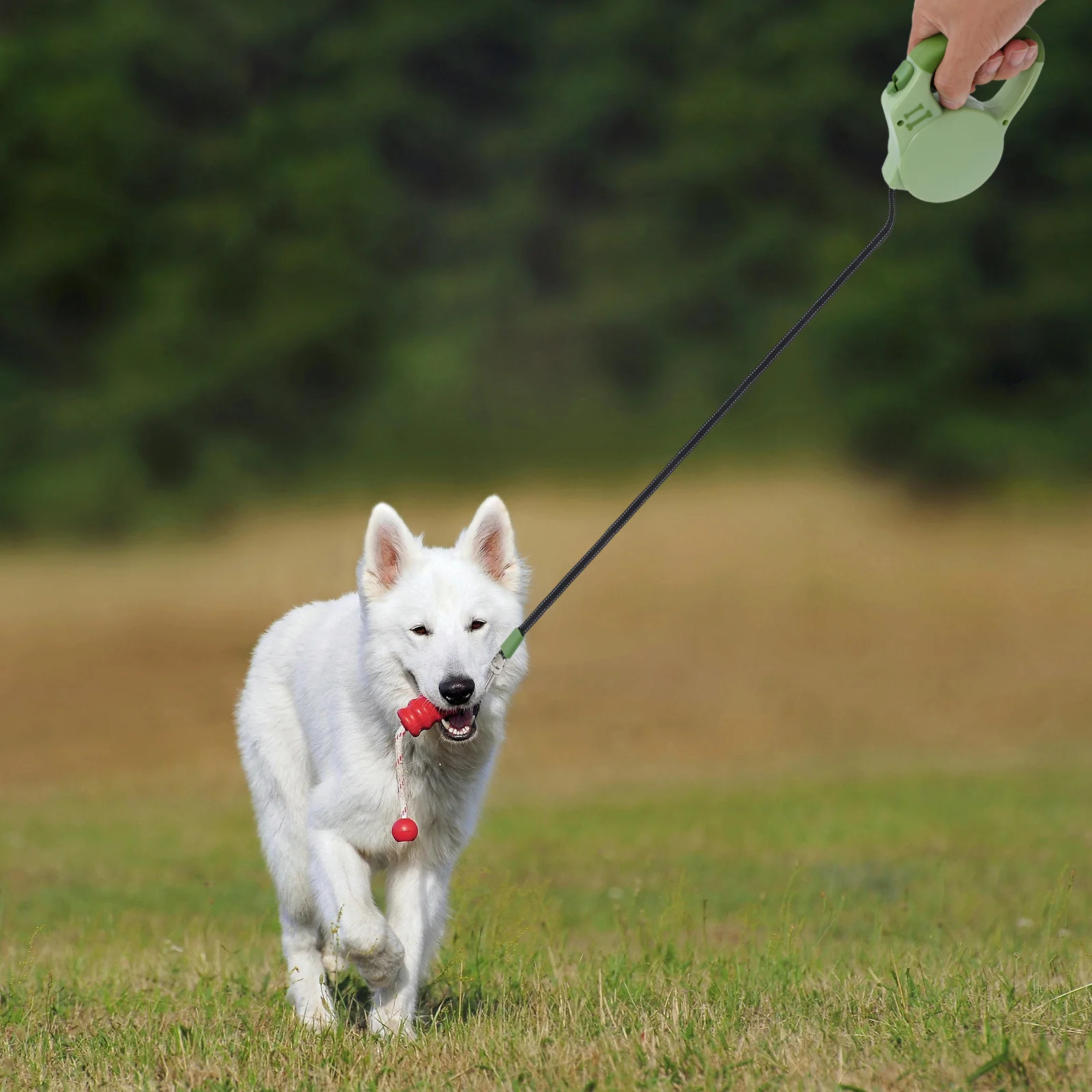 

Retractable Dog Leash Automatic Expandable Tape Heavy Duty Anti-Slip Handle For Small Medium Dogs Walking Training Outdoor