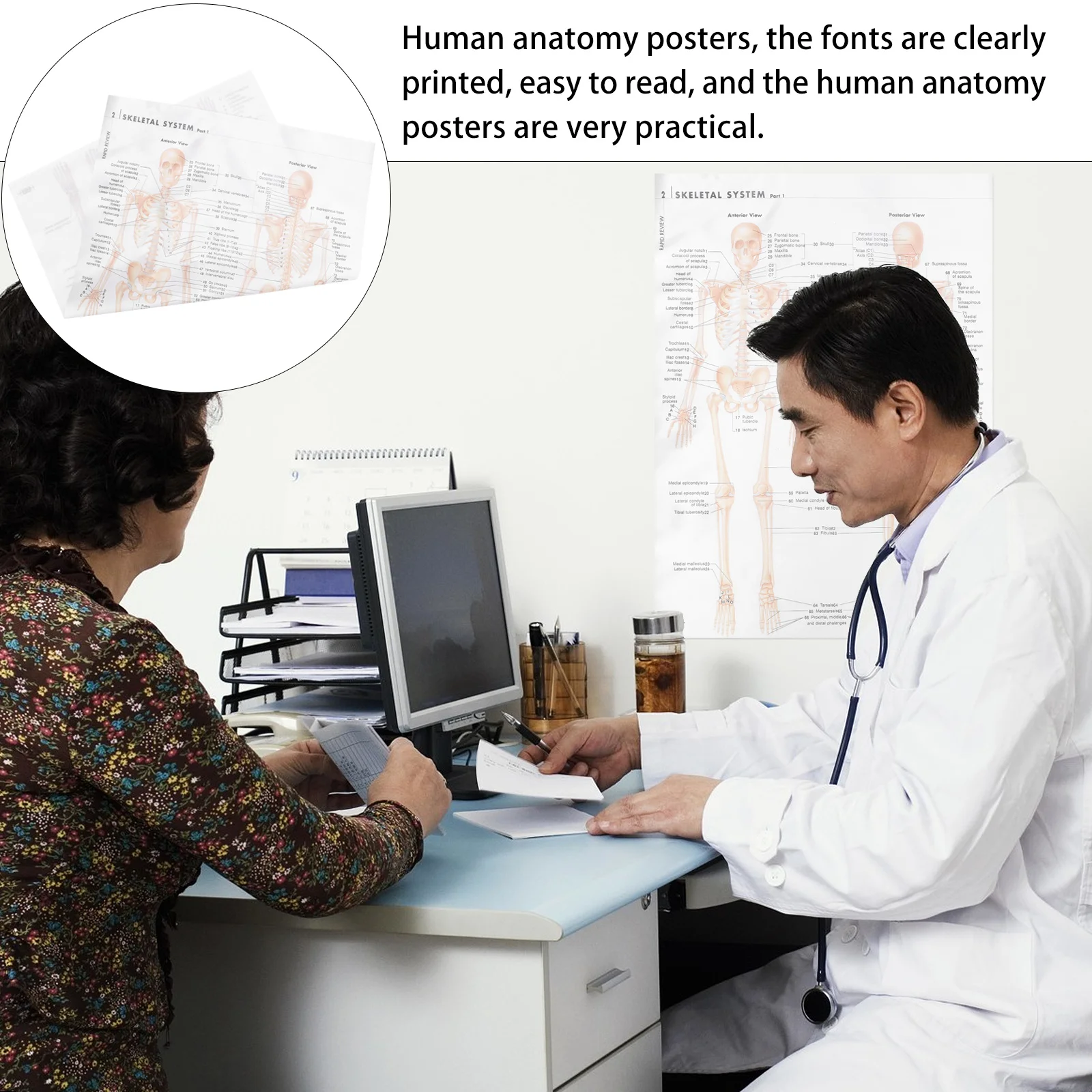 

Skeletal System Anatomy Poster 24x36 Inch Premium Kraft Paper Decor for Home Office Wall Party Decoration Stunning Eye Catching