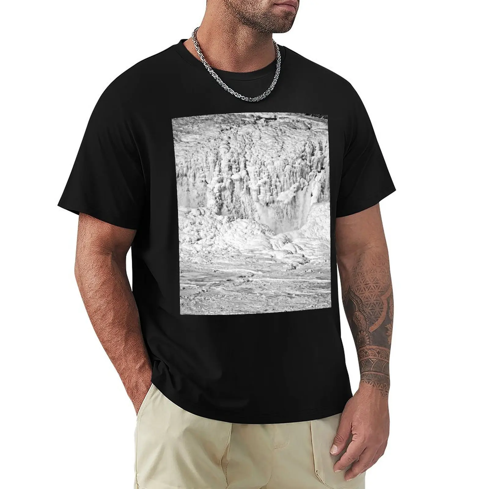 

Cohoes Falls Almost Frozen Shut T-Shirt Louboutins vintage clothes t shirts for men cotton