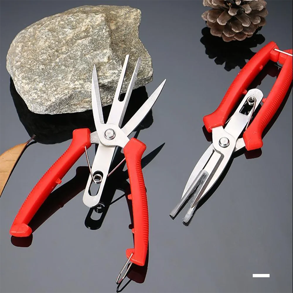 Double-edged Fruit Picking Scissors Garden Pruner Shears Citrus Tree Flower Cultivating Solid Multi-use Pruning Fruit Tree