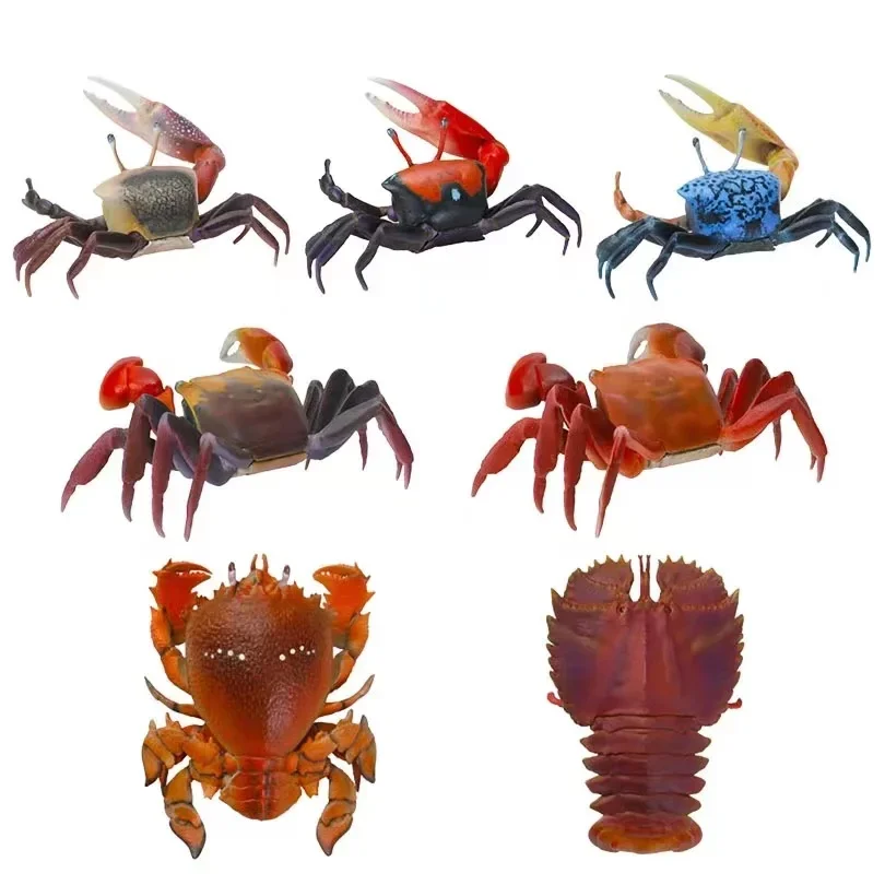 Genuine Gacha Biological Atlas of Crustacean Series 1 Fiddler Crab Asahi Crab Simulation Animal Action Figure Toys