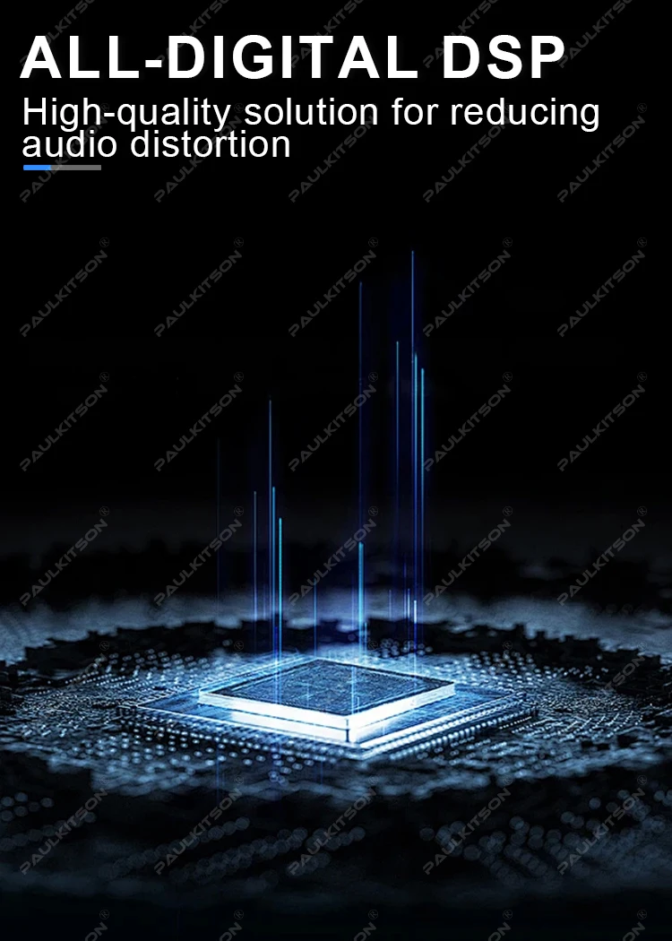 Paulkitson MK-1000 True Diversity Drahtloses Mikrofonsystem 640-690MHz Dual-Handmikrofon UHF Stabiles Signal für Karaoke Live – Detail 5